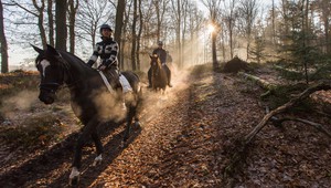 Reiten auf der Veluwe